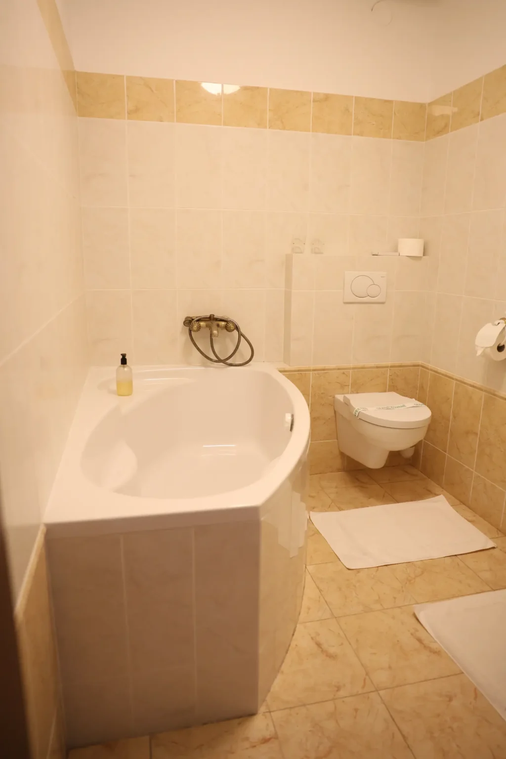 Bojnicky-Vinny-Dom-Hotel-Bojnice-Ubytovanie-v-Bojniciach-Suita-Devin-s-Balkonom-1